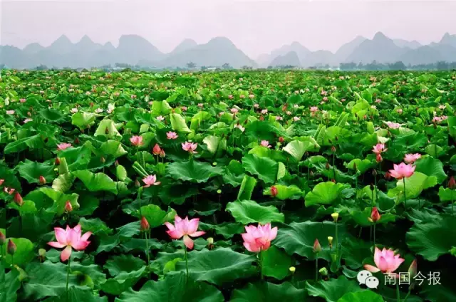 广西柳城汽车站图片 柳州柳江风水全图