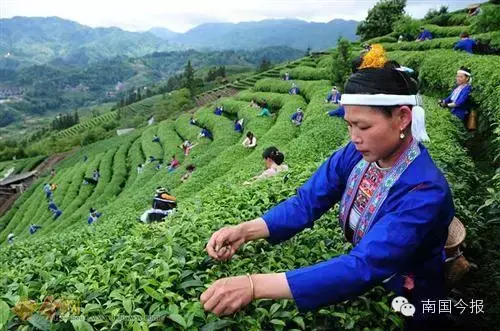 广西柳城汽车站图片 柳州柳江风水全图