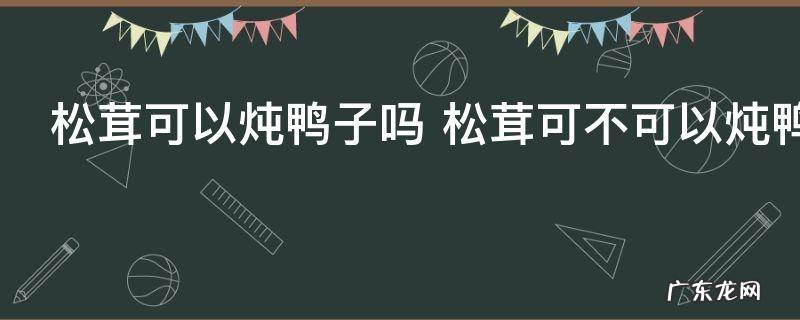 松茸可以炖鸭子吗 松茸可不可以炖鸭子