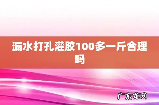 漏水打孔灌胶100多一斤合理吗