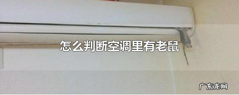 怎么判断空调里有老鼠