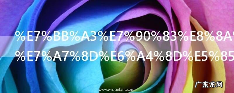 绣球花怎么种植养护 绣球花如何种植养护