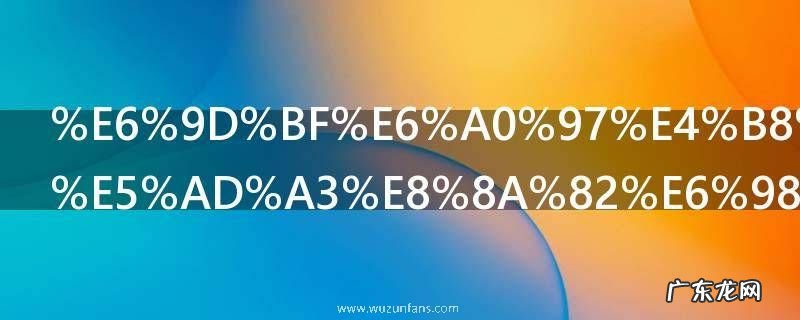 板栗上市的季节是几月 板栗上市的季节是多少月