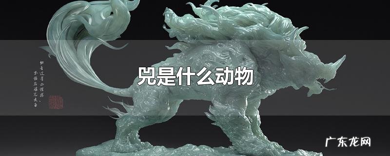 兕是什么动物