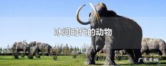 冰河时代的动物