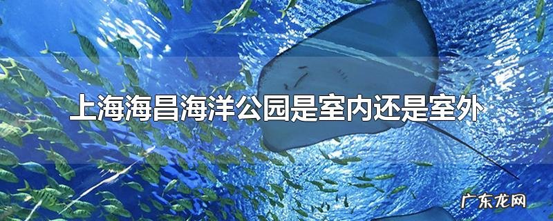 上海海昌海洋公园是室内还是室外