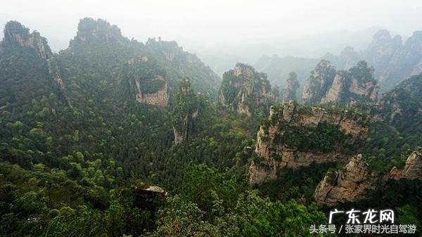 桃木葫芦门帘风水禁忌 承德桃木风水帘