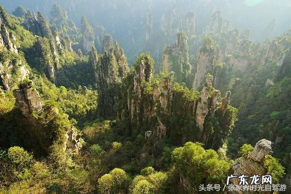 桃木葫芦门帘风水禁忌 承德桃木风水帘