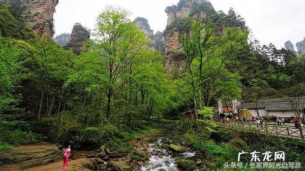 桃木葫芦门帘风水禁忌 承德桃木风水帘