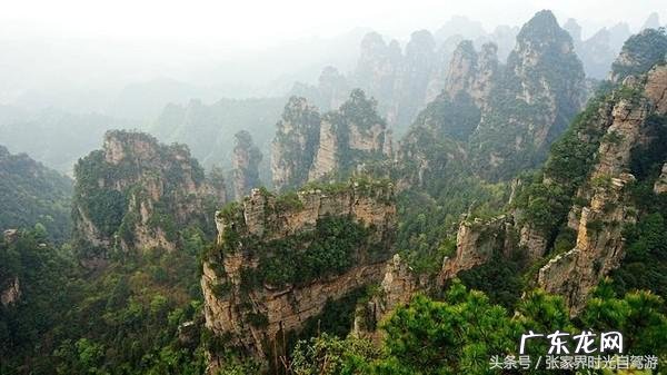 桃木葫芦门帘风水禁忌 承德桃木风水帘