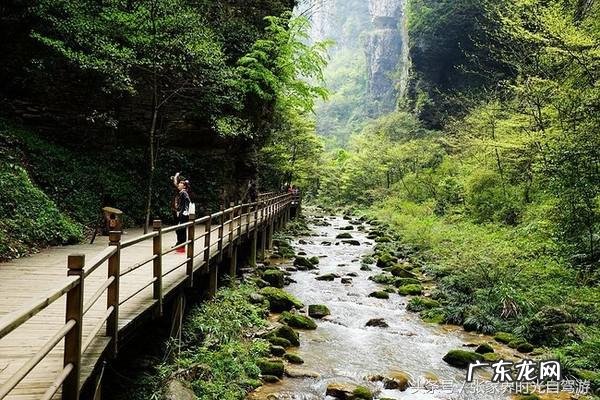 桃木葫芦门帘风水禁忌 承德桃木风水帘
