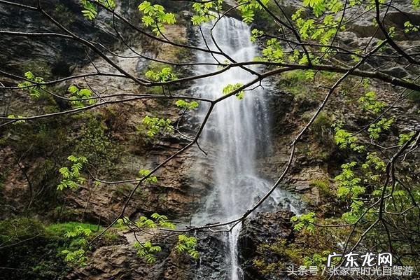 桃木葫芦门帘风水禁忌 承德桃木风水帘
