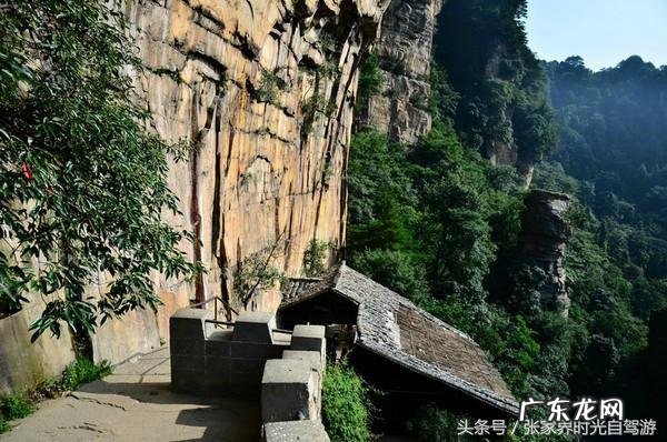 桃木葫芦门帘风水禁忌 承德桃木风水帘