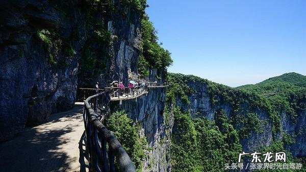 桃木葫芦门帘风水禁忌 承德桃木风水帘