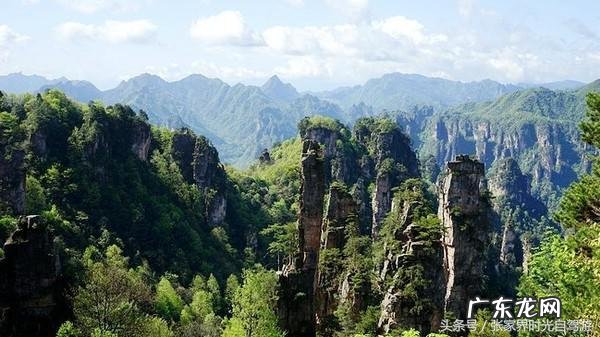 桃木葫芦门帘风水禁忌 承德桃木风水帘