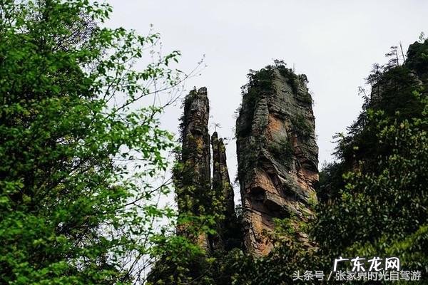 桃木葫芦门帘风水禁忌 承德桃木风水帘