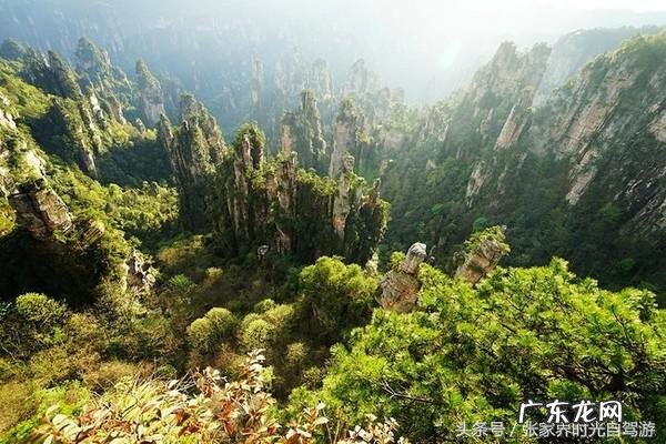 桃木葫芦门帘风水禁忌 承德桃木风水帘