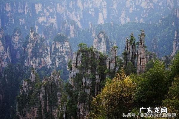 桃木葫芦门帘风水禁忌 承德桃木风水帘