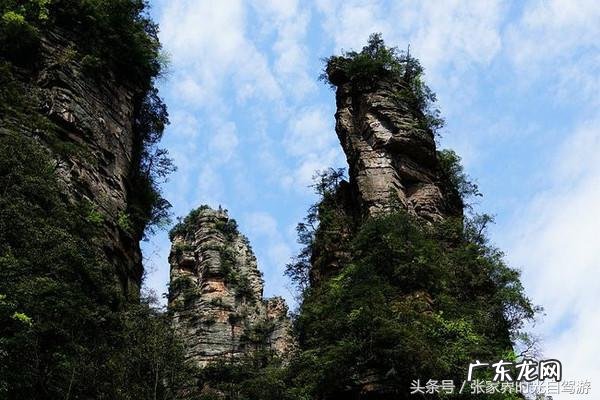 桃木葫芦门帘风水禁忌 承德桃木风水帘