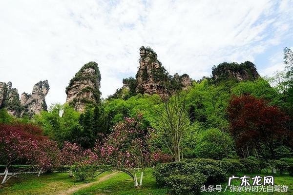 桃木葫芦门帘风水禁忌 承德桃木风水帘