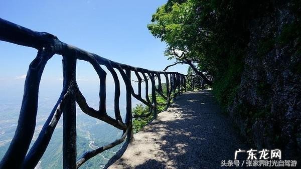 桃木葫芦门帘风水禁忌 承德桃木风水帘