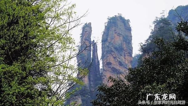 桃木葫芦门帘风水禁忌 承德桃木风水帘
