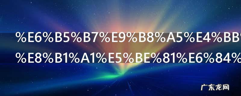 海鸥代表的象征意义是什么 海鸥代表什么意思