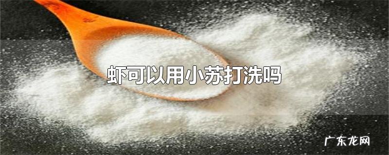 虾可以用小苏打洗吗