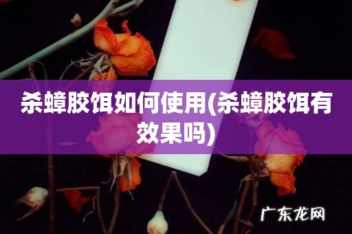 杀蟑胶饵有效果吗 杀蟑胶饵如何使用