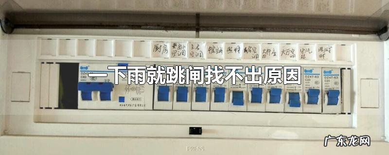 一下雨就跳闸找不出原因