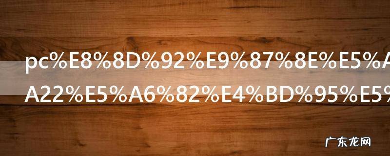 pc荒野大镖客2如何加好友 荒野大镖客2加好友方法介绍