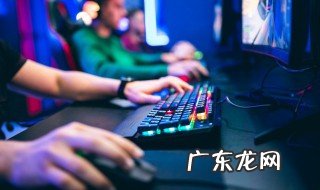 pc荒野大镖客2如何加好友 荒野大镖客2加好友方法介绍