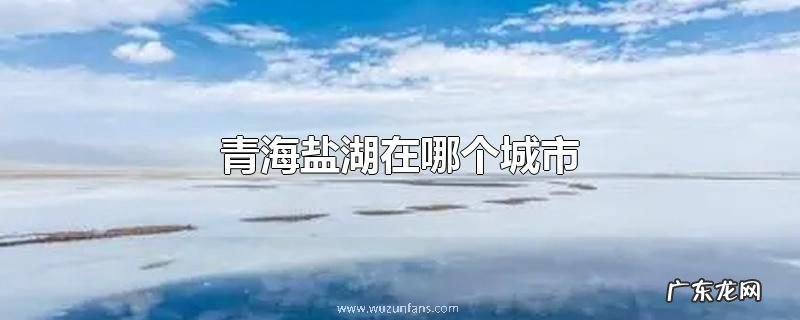 青海盐湖在哪个城市