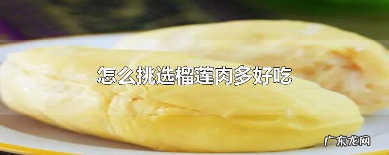 怎么挑选榴莲肉多好吃