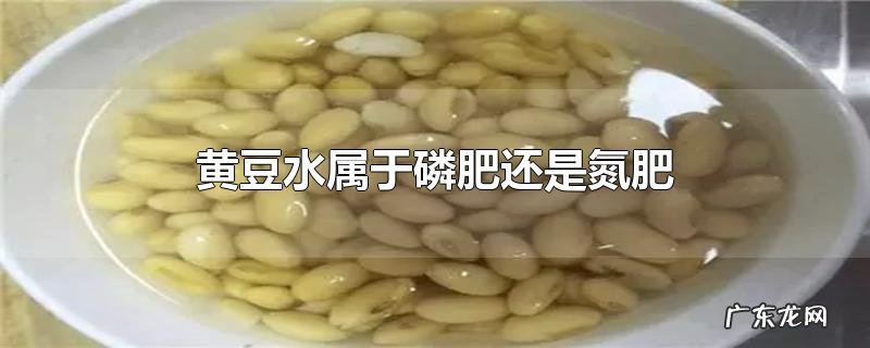 黄豆水属于磷肥还是氮肥