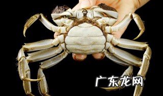 水煮大闸蟹的做法 怎样做水煮大闸蟹