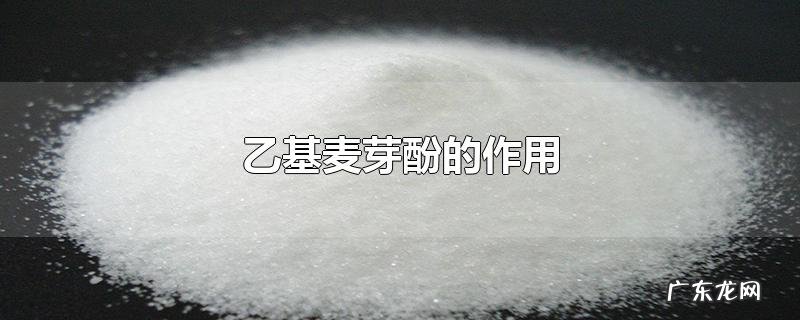 乙基麦芽酚的作用