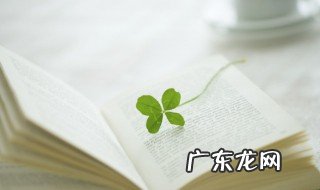 千字文的作者是谁那个朝代的 千字文介绍