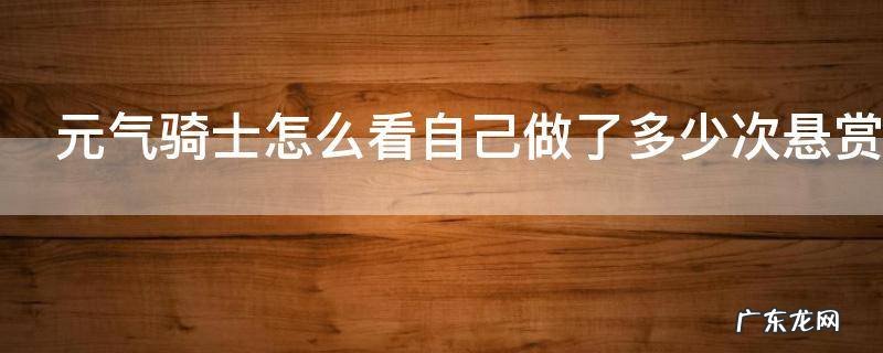 元气骑士怎么看自己做了多少次悬赏 元气骑士如何看自己做了多少次悬赏