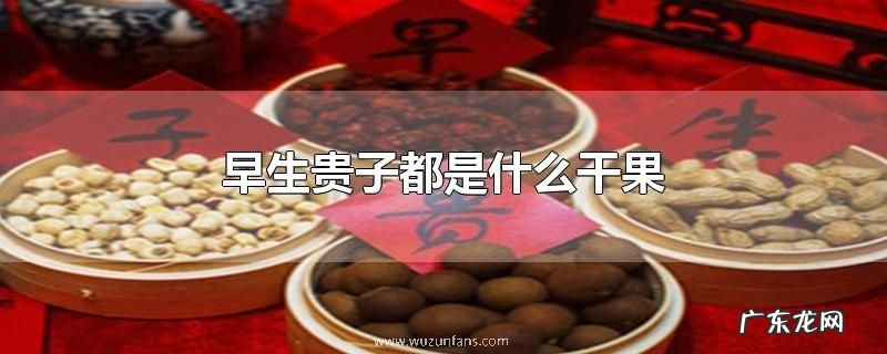 早生贵子都是什么干果