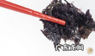 紫菜要煮多久才可以熟 紫菜要煮多长时间才可以熟
