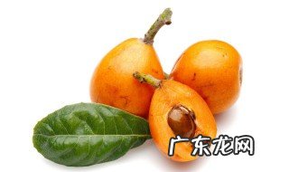 枇杷花要煮多少时间 枇杷花要煮多长时间