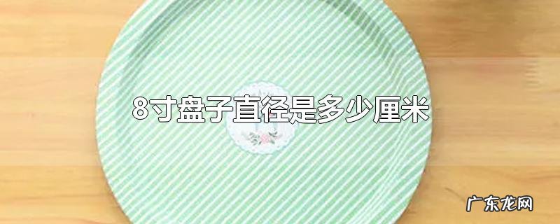 8寸盘子直径是多少厘米