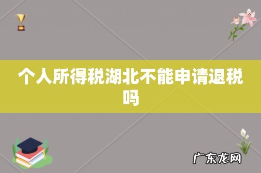 个人所得税湖北不能申请退税吗