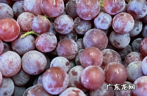 新疆玻璃脆葡萄好不好吃