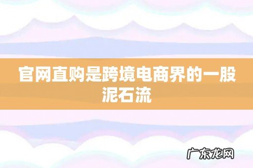 官网直购是跨境电商界的一股泥石流