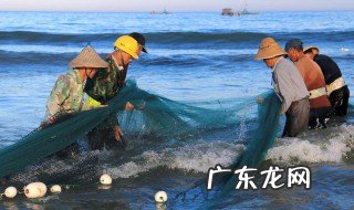野生河鳗和养殖河鳗怎么区分 野生河鳗和养殖河鳗有哪些不同