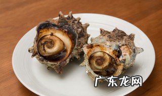 淡水怎么养花螺 淡水如何养花螺