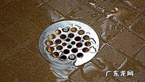 下水道堵塞属于物业管理范围吗