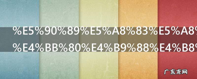 吉娃娃狗吃什么东西 吉娃娃狗吃的食物介绍